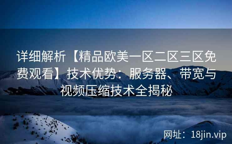详细解析【精品欧美一区二区三区免费观看】技术优势：服务器、带宽与视频压缩技术全揭秘