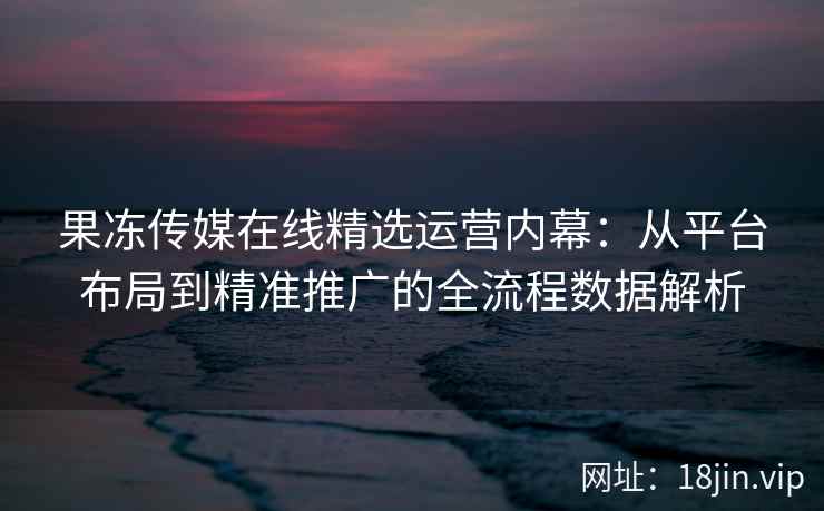 果冻传媒在线精选运营内幕：从平台布局到精准推广的全流程数据解析