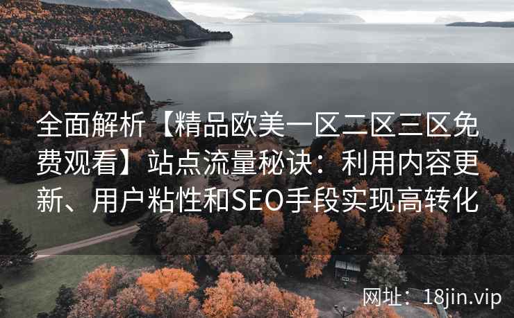 全面解析【精品欧美一区二区三区免费观看】站点流量秘诀:利用内容更新、用户粘性和SEO手段实现高转化