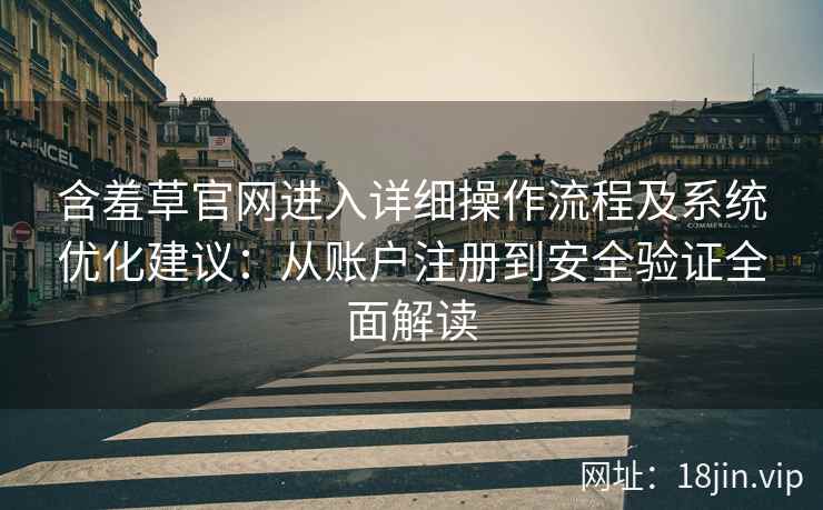 含羞草官网进入详细操作流程及系统优化建议:从账户注册到安全验证全面解读