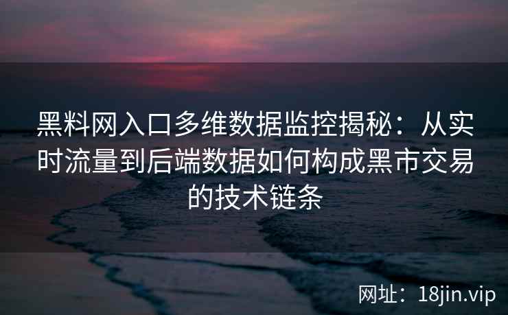 黑料网入口多维数据监控揭秘：从实时流量到后端数据如何构成黑市交易的技术链条
